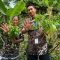 HBAP Toreh Prestasi Internasional Lewat Program Hijau Berbasis Agribisnis Pekarangan