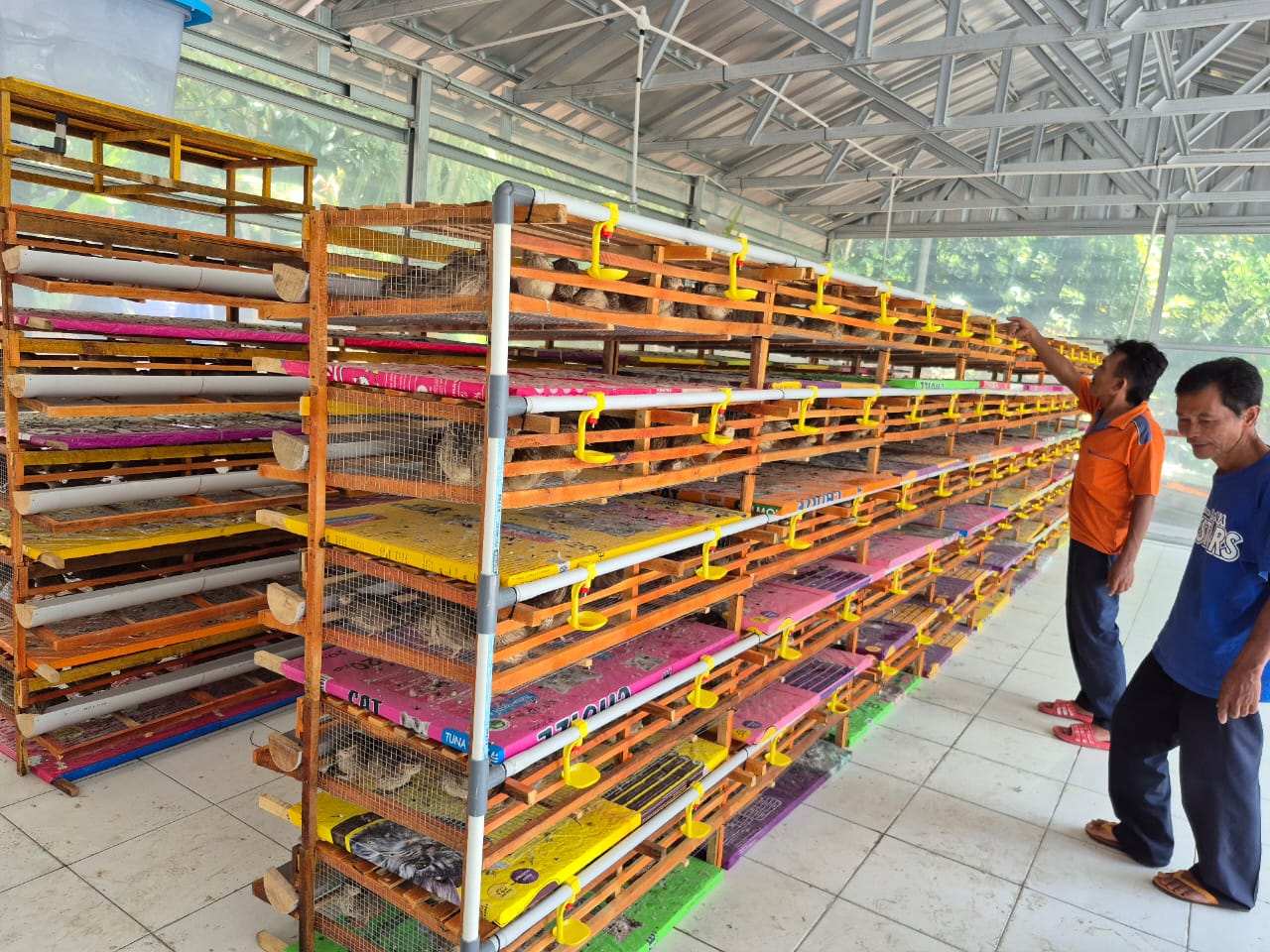 Dukung Replikasi Budidaya Burung Puyuh, PTBA Dorong Kemandirian Ekonomi Masyarakat Tanjung Enim