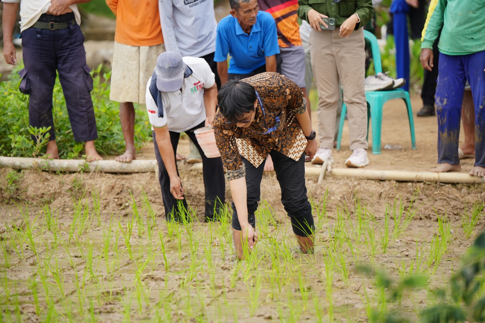 Langkah Nyata PTBA Tingkatkan Hasil Panen Petani Muara Enim Lewat Uji Coba Pemanfaatan Kalium Humat