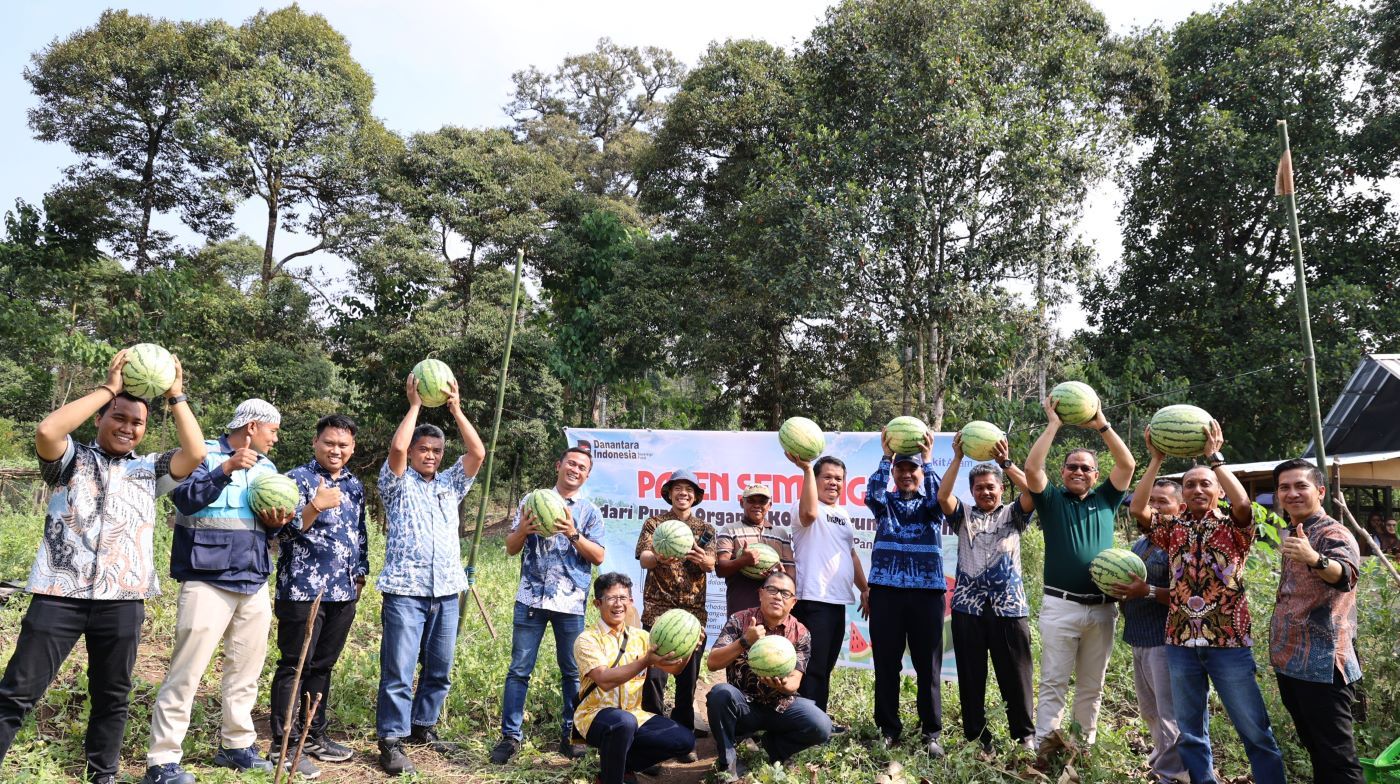 Dari Kohe Puyuh ke Panen Semangka, Lahan Eks-PETI di Desa Darmo Kini Produktif